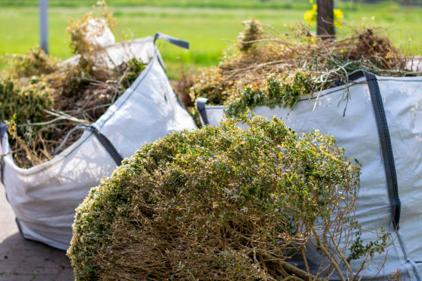 Basement Cleanout Services in Northfield, OH